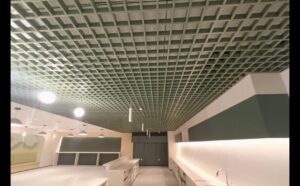 SQUARE_CELL_CEILING_GOOGLE_SAR3_EXOTIC (1)